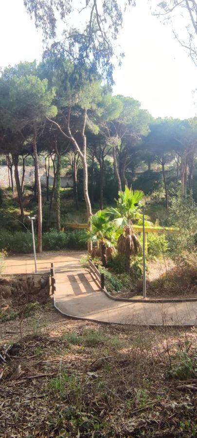 Beach Forest Paradise Marbella Exterior photo