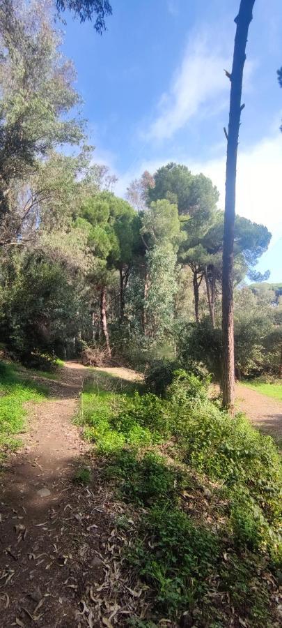 Beach Forest Paradise Marbella Exterior photo