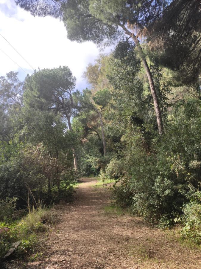 Beach Forest Paradise Marbella Exterior photo